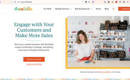 example of a spam site